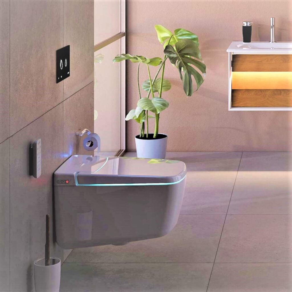 To Bidet or Not to Bidet
